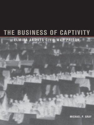 cover image of The Business of Captivity